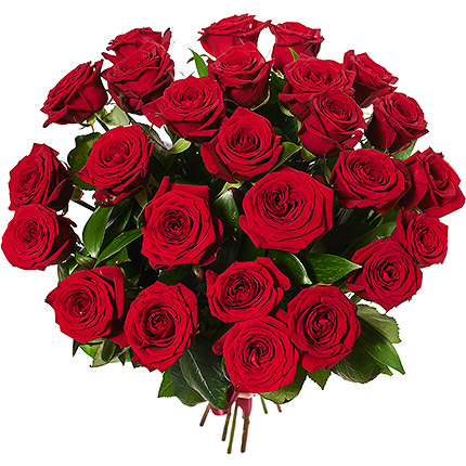 25 Rosas Rojas