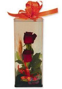 Estuche 2 Rosas