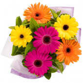 Gerberas Mix