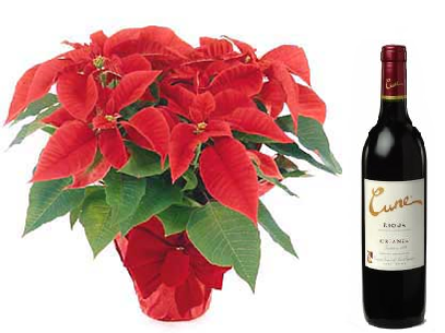 Poinsettia y Cune