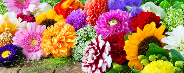 COLECCION PRIMAVERA