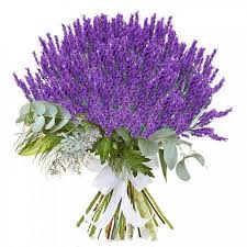 Ramo Lavanda