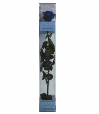 Rosa Eterna Azul