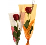 Rosa Individual Sencilla