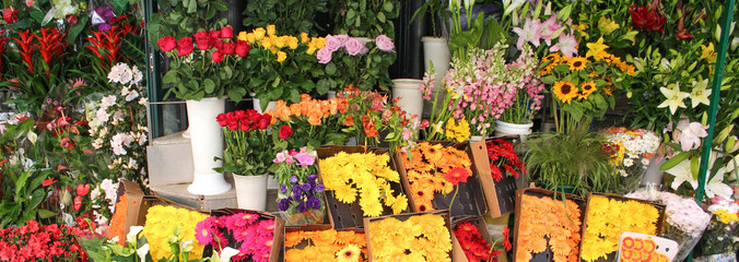 tus flores a domicilio