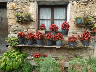 Floristería de Ripollet