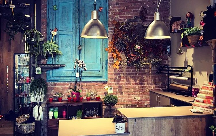 floristería Ladyflor Barcelona